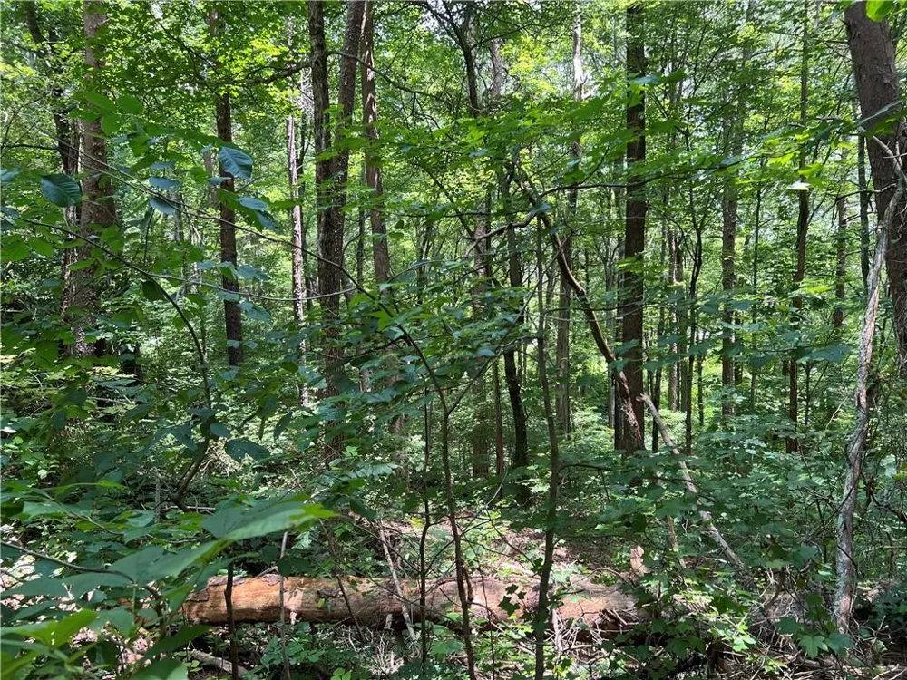 0 Lavender Trail Rome, GA 30165