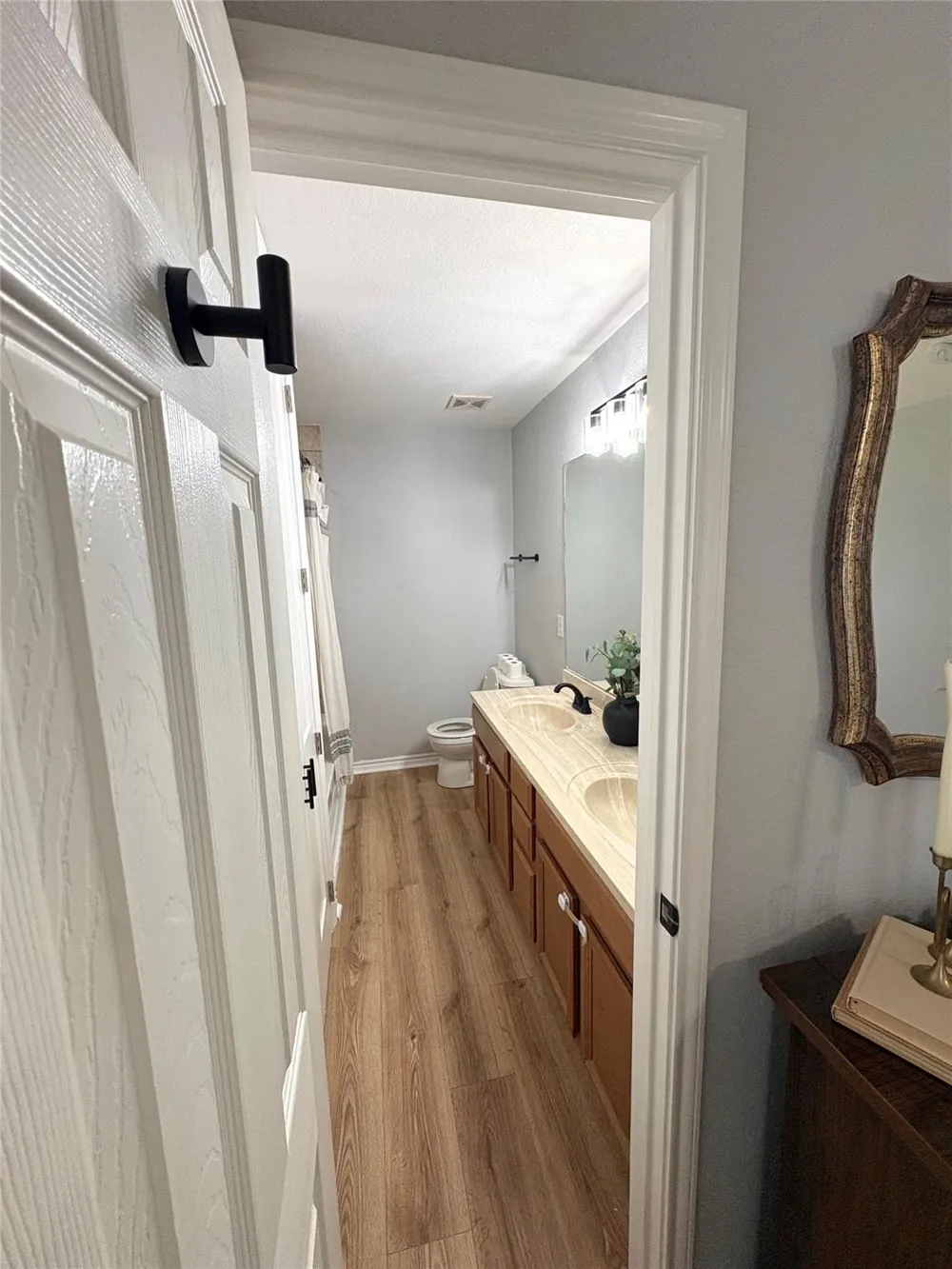 165 Dandelion Trail San Marcos, TX 78666