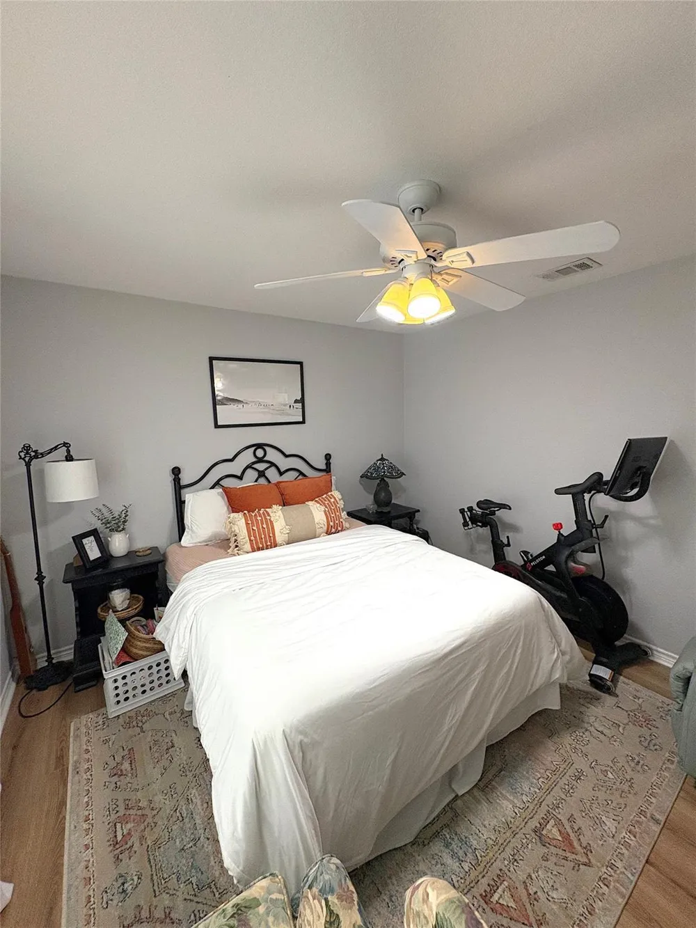 165 Dandelion Trail San Marcos, TX 78666