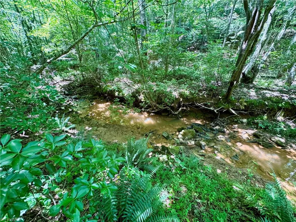 243 Hunter Ridge Lane Ararat, NC 27007