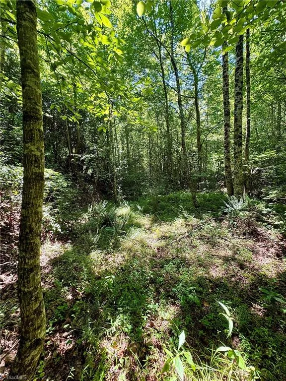 243 Hunter Ridge Lane Ararat, NC 27007
