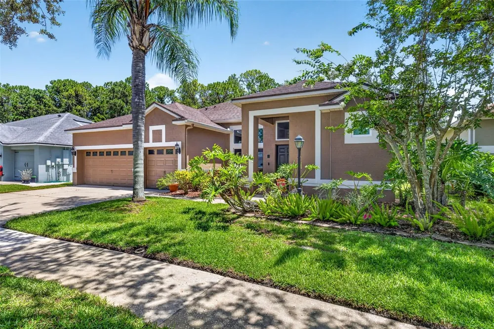 10737 AYRSHIRE DRIVE Tampa, FL 33626