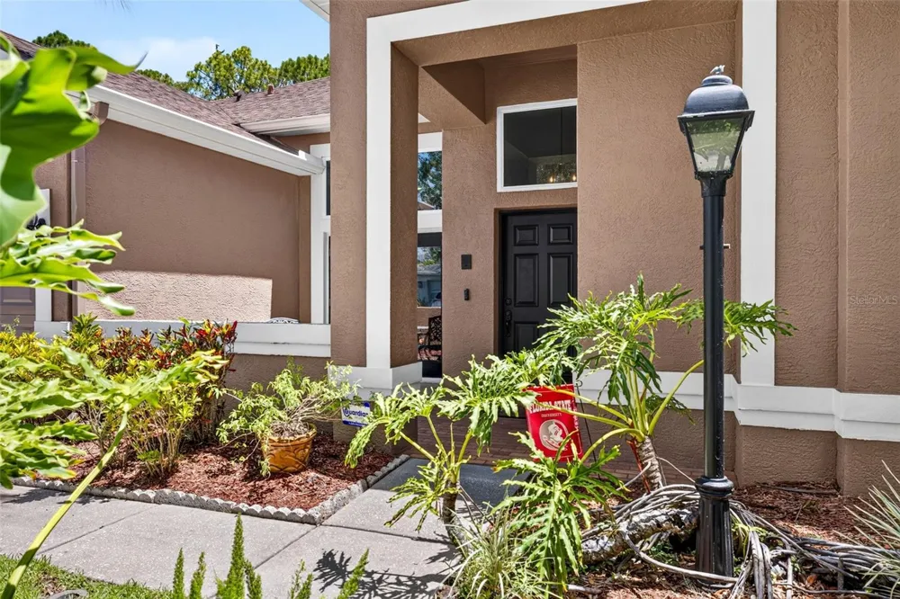 10737 AYRSHIRE DRIVE Tampa, FL 33626