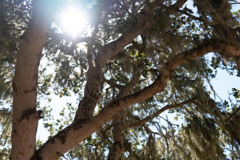 18402 McClellan Circle Marina, CA 93933