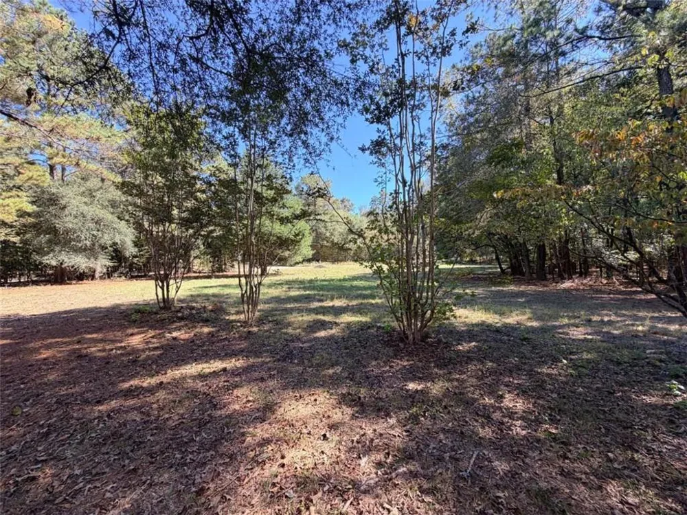 0 Towaliga South Road Jackson, GA 30233
