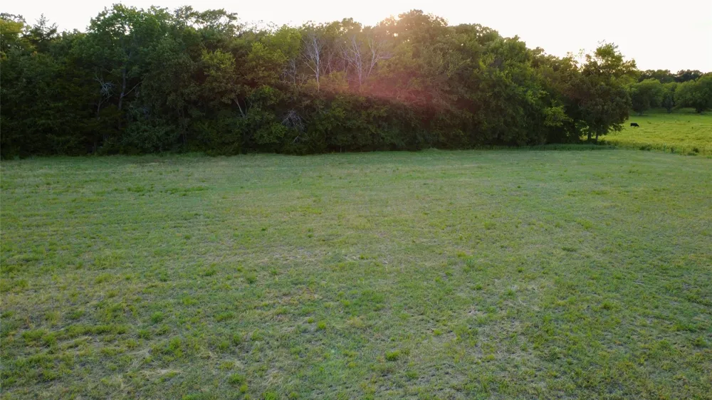 336 County Road 1118 Brashear, TX 75420