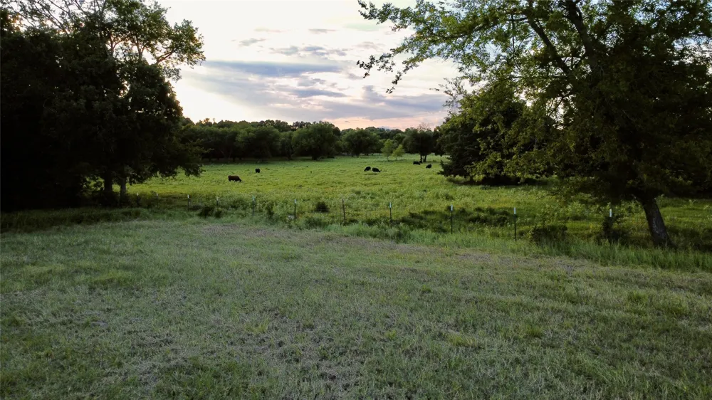 336 County Road 1118 Brashear, TX 75420