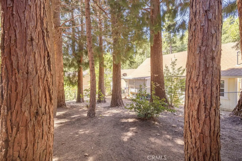 2383 Secret Running Springs, CA 92382