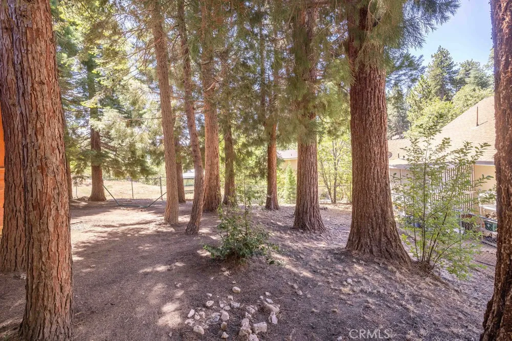 2383 Secret Running Springs, CA 92382