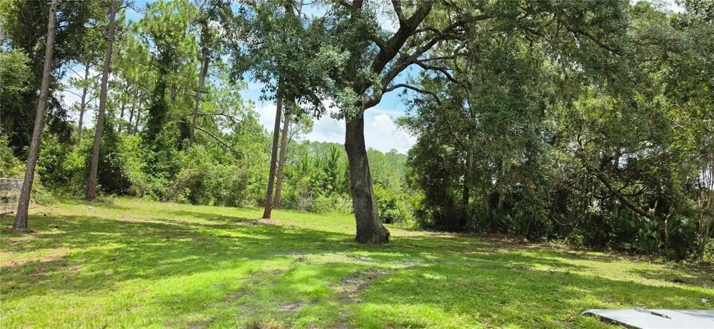 2861 BLACKBURN AVENUE Deltona, FL 32738