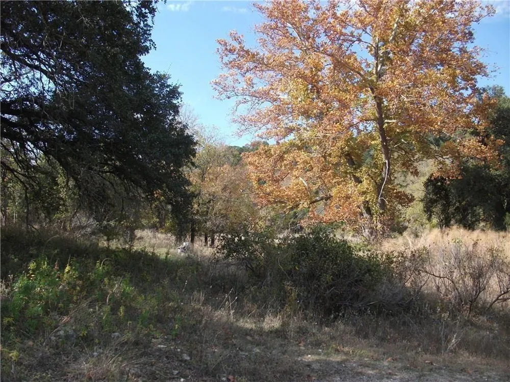 18201 Gregg Bluff Road Jonestown, TX 78645