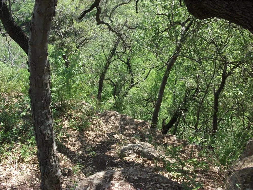 18201 Gregg Bluff Road Jonestown, TX 78645