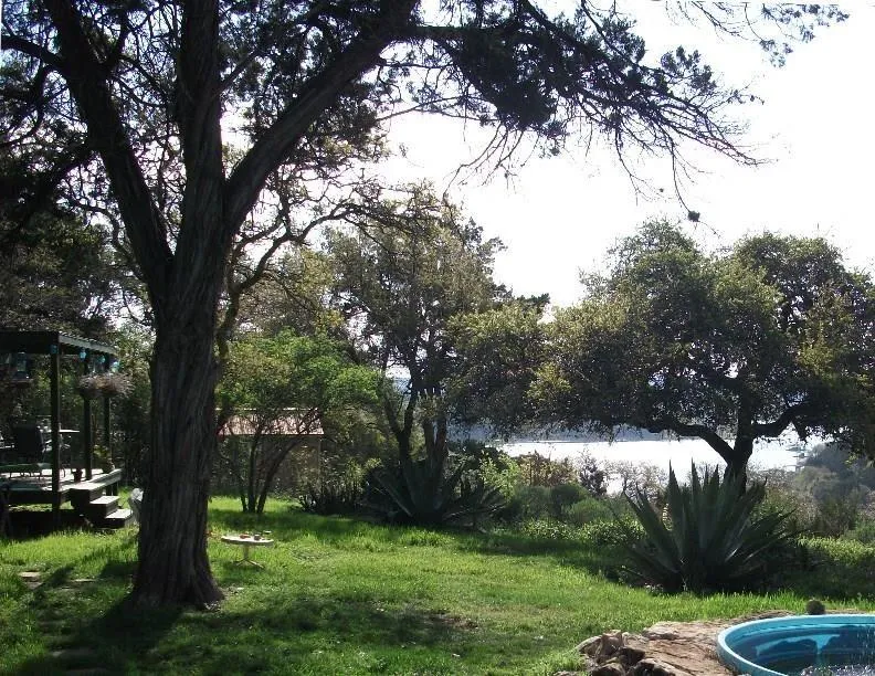 18201 Gregg Bluff Road Jonestown, TX 78645