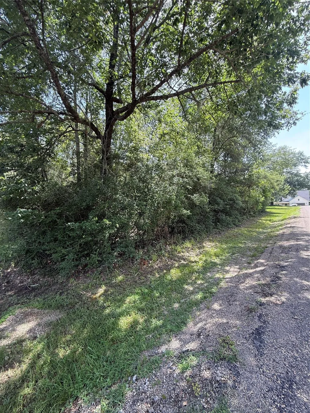 Idlewilde Onalaska, TX 77360