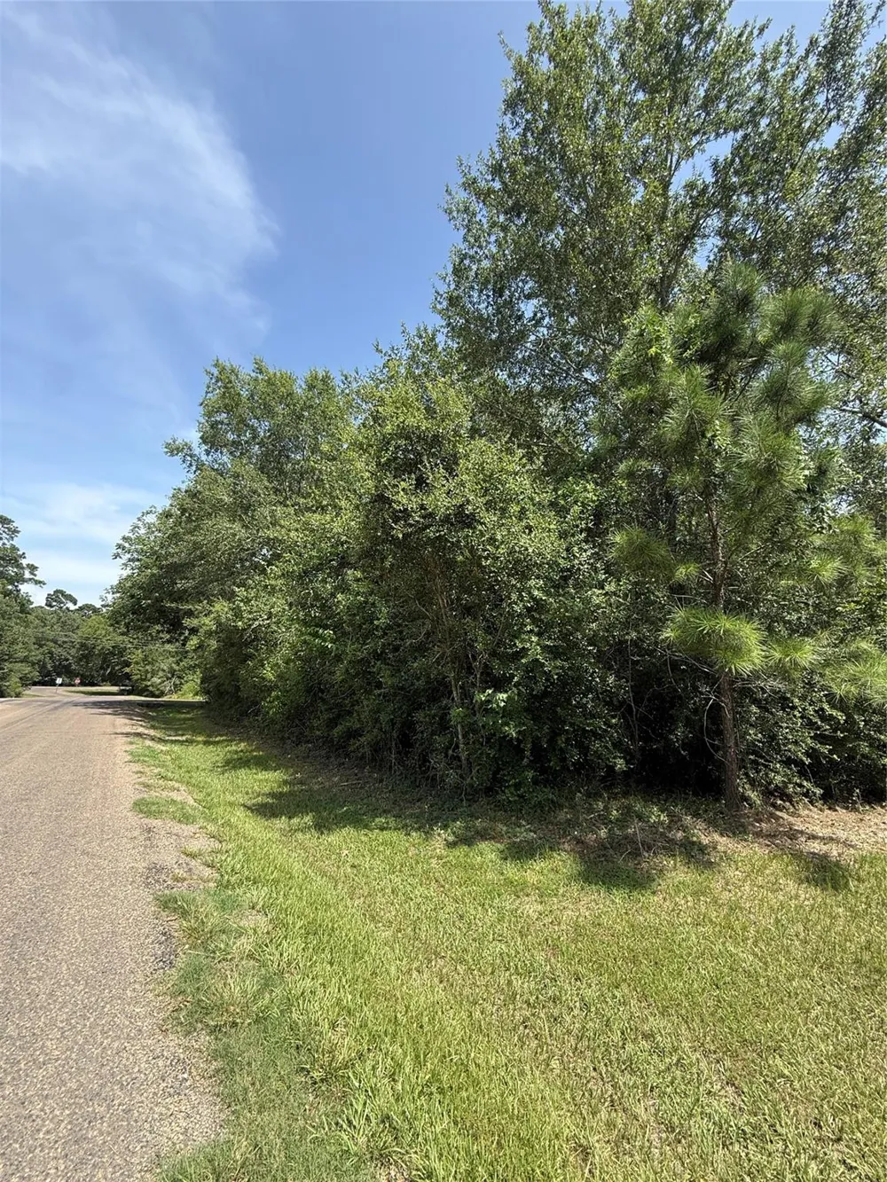 Idlewilde Onalaska, TX 77360