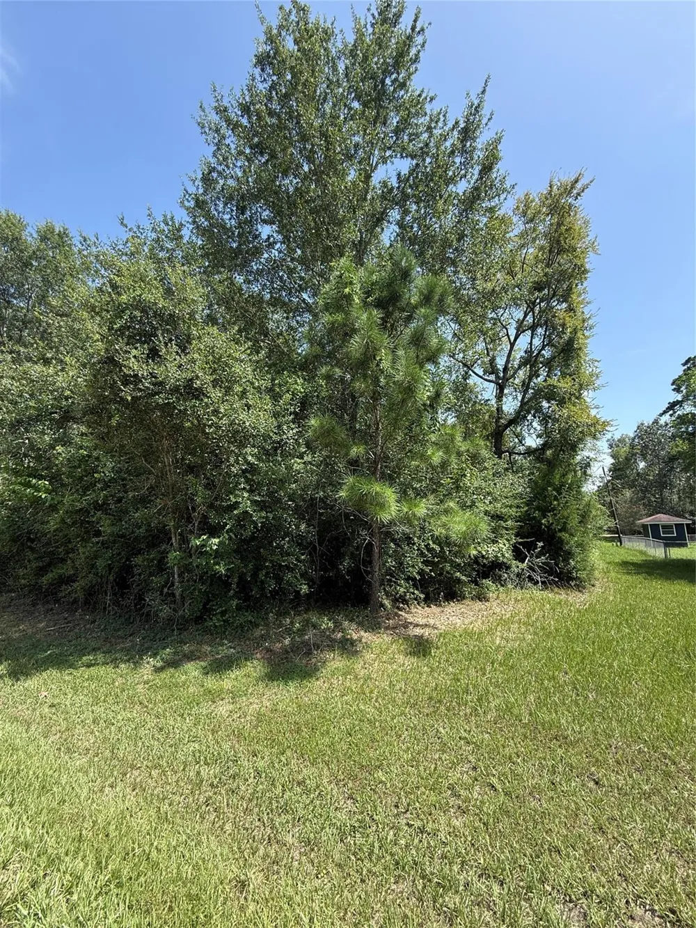 Idlewilde Onalaska, TX 77360