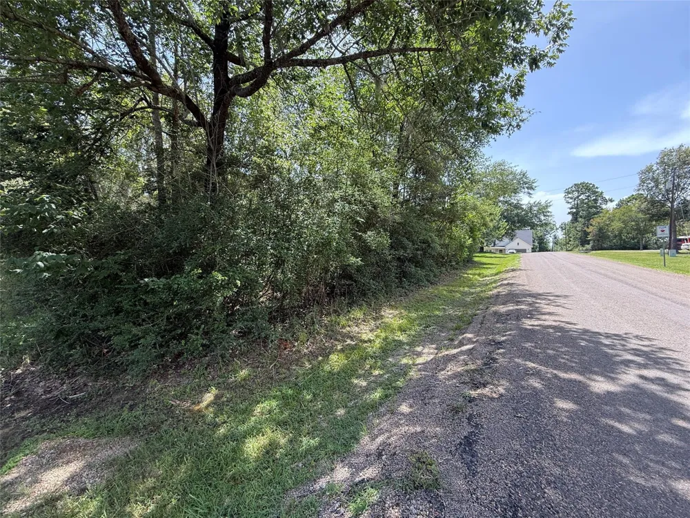 Idlewilde Onalaska, TX 77360
