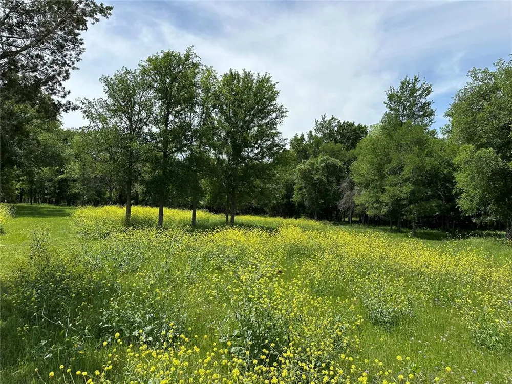 132 Quiet Oak Cove Liberty Hill, TX 78642