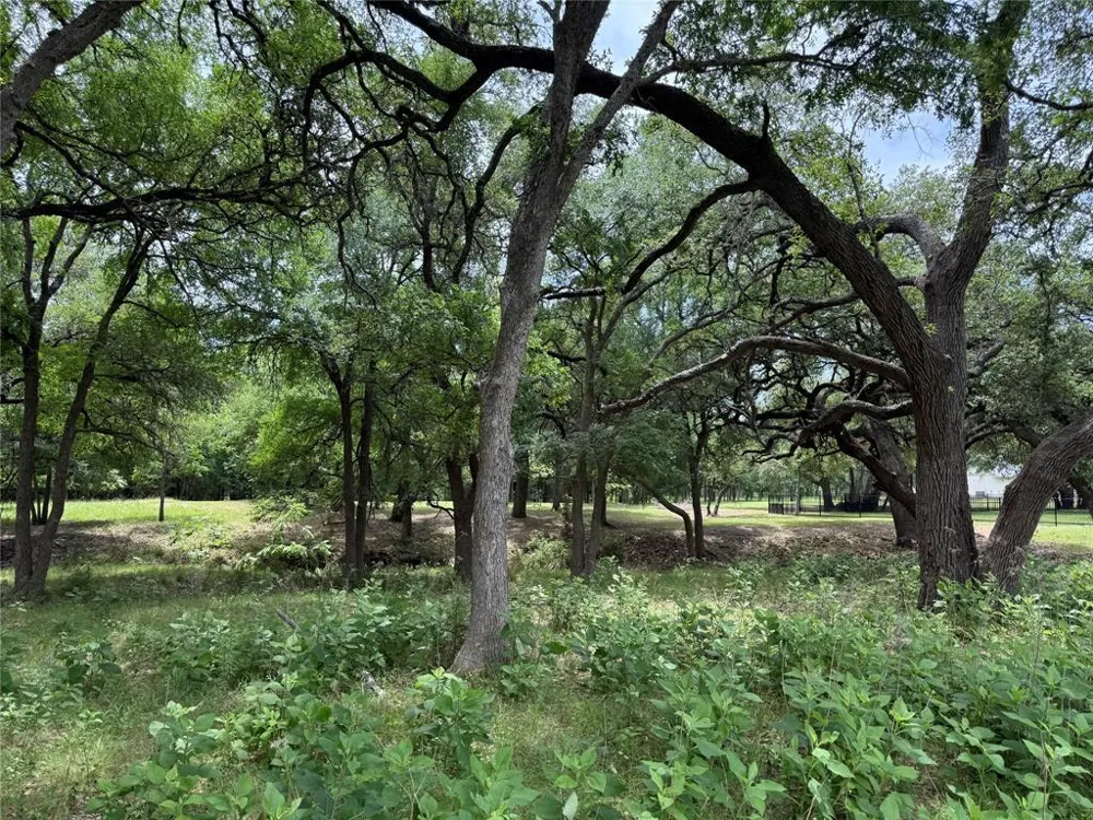 132 Quiet Oak Cove Liberty Hill, TX 78642