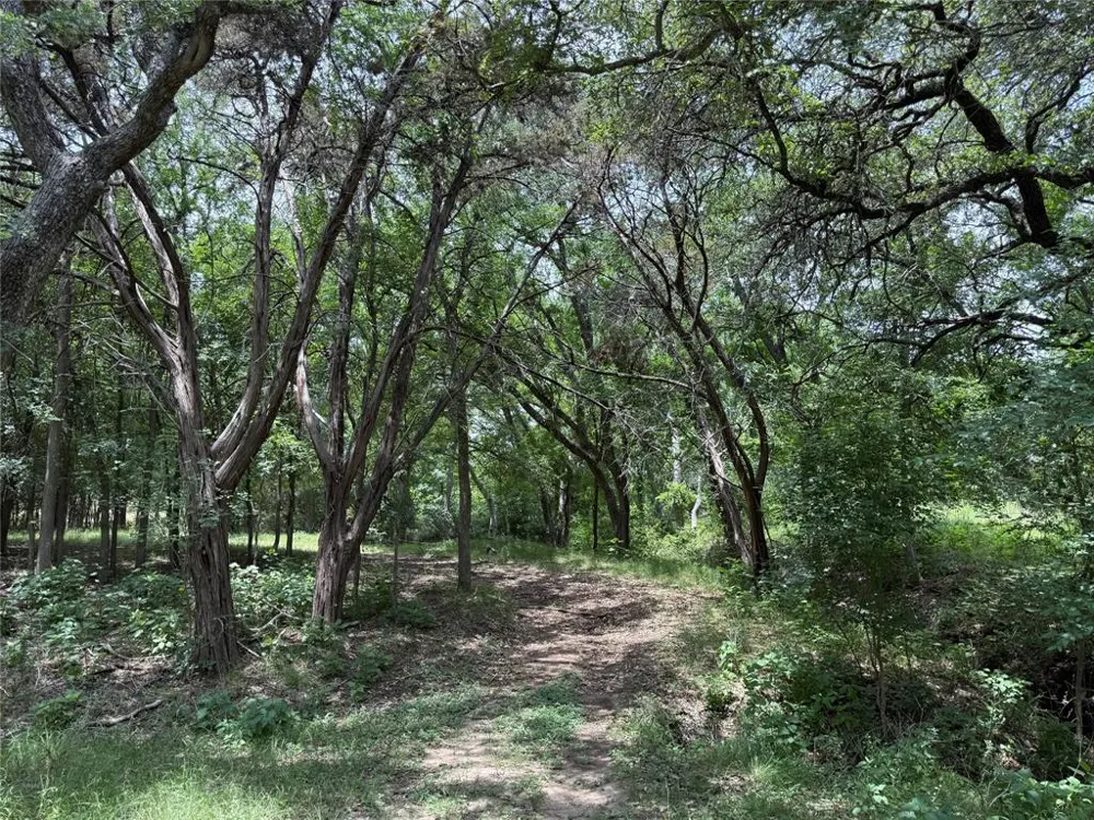 132 Quiet Oak Cove Liberty Hill, TX 78642