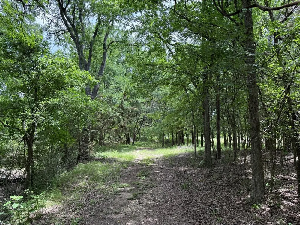 132 Quiet Oak Cove Liberty Hill, TX 78642
