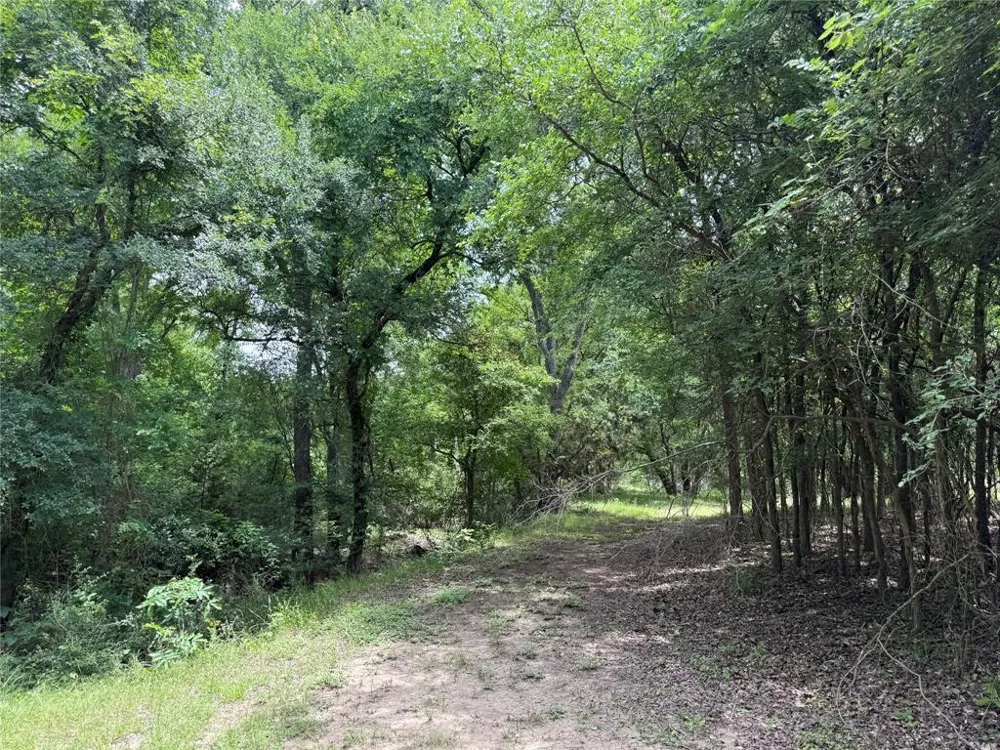 132 Quiet Oak Cove Liberty Hill, TX 78642