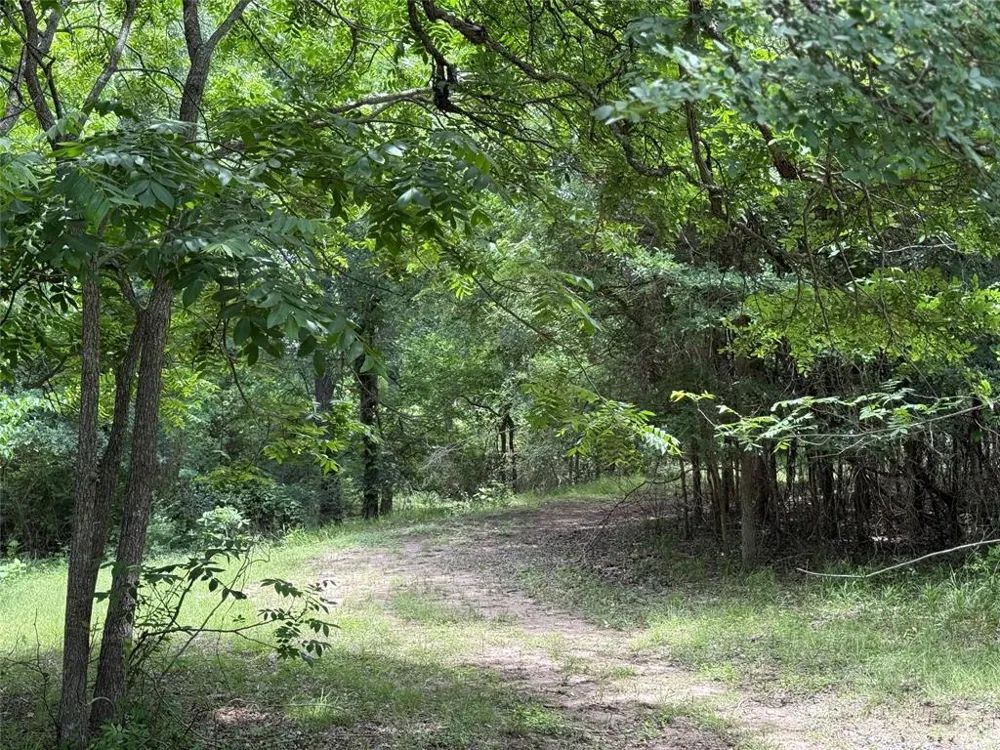 132 Quiet Oak Cove Liberty Hill, TX 78642