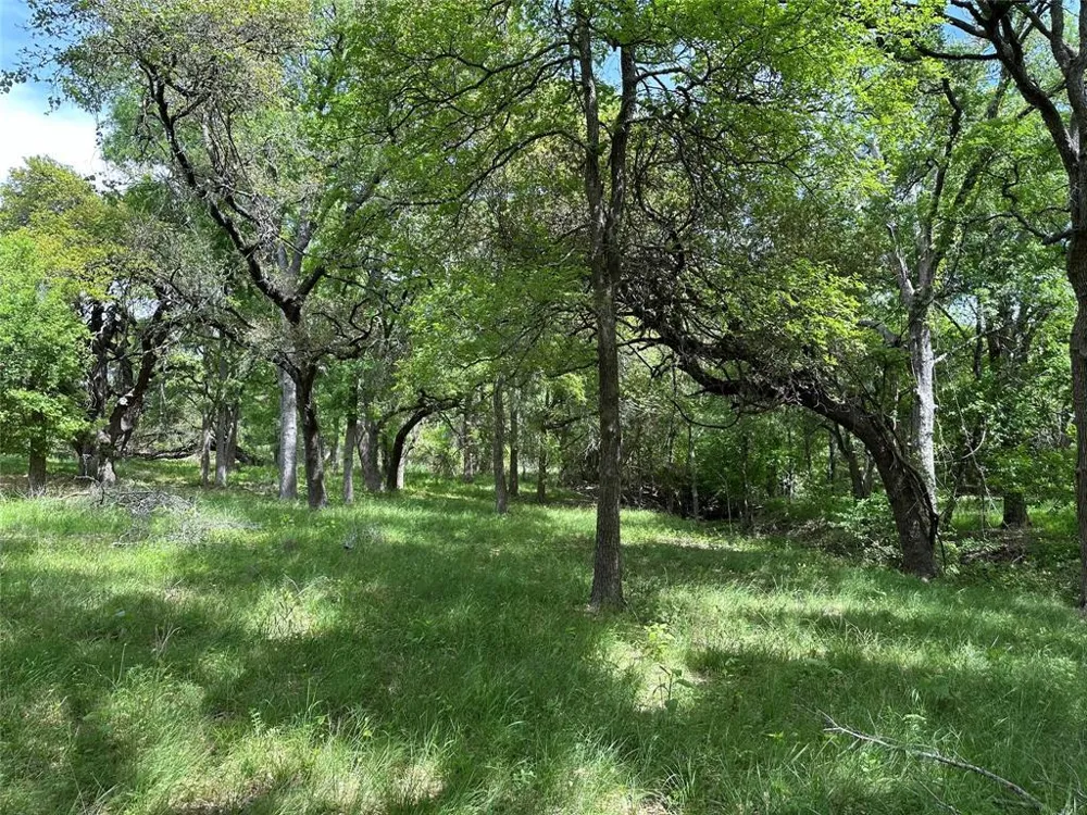 132 Quiet Oak Cove Liberty Hill, TX 78642