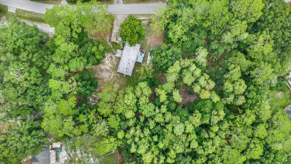6947 ANGUS VALLEY DRIVE Wesley Chapel, FL 33544