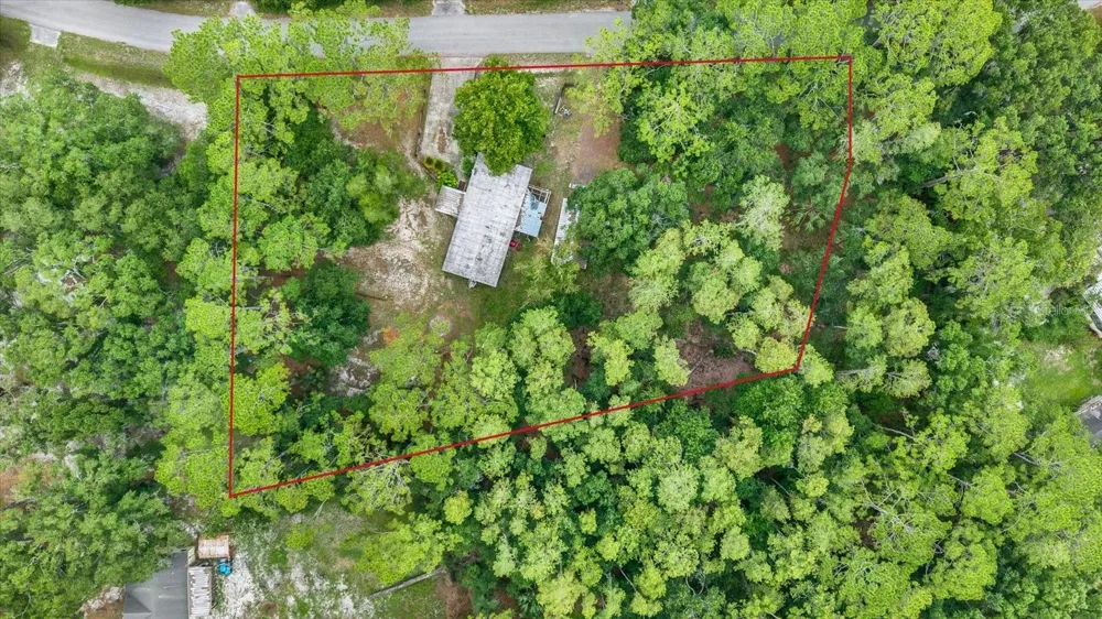 6947 ANGUS VALLEY DRIVE Wesley Chapel, FL 33544