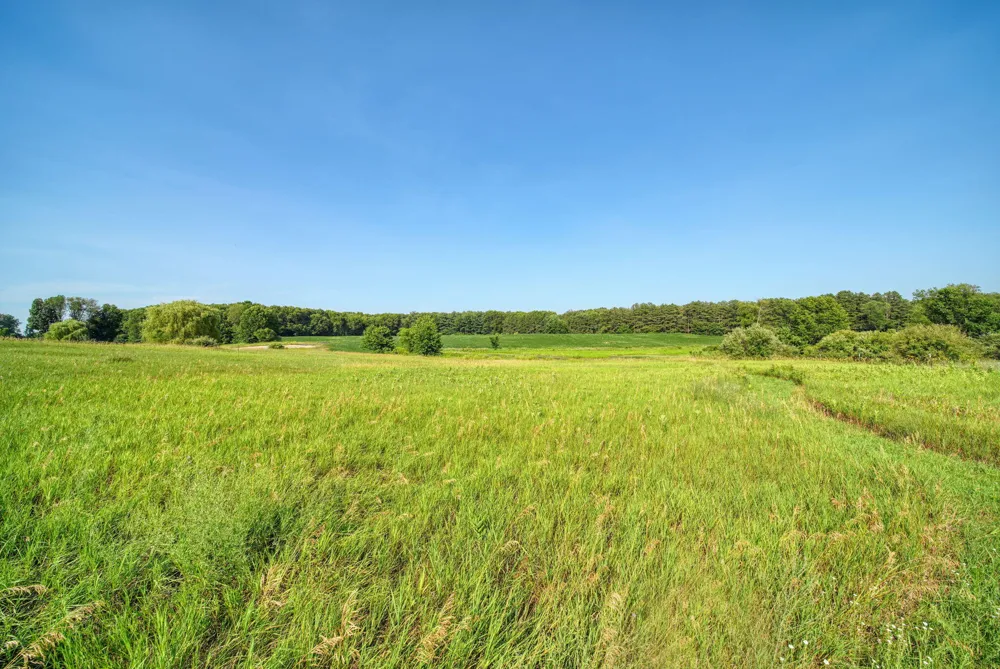 11329 Rosemary Lane Munith, MI 49259