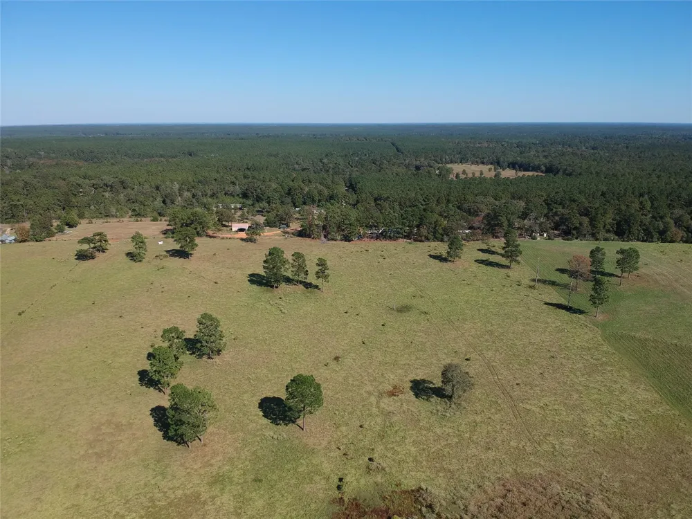 252 Lakeland Ranch Hillister, TX 77624