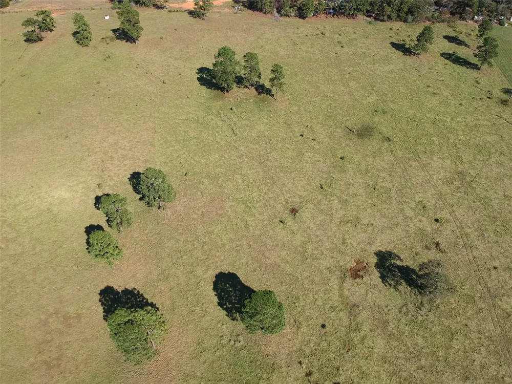 252 Lakeland Ranch Hillister, TX 77624