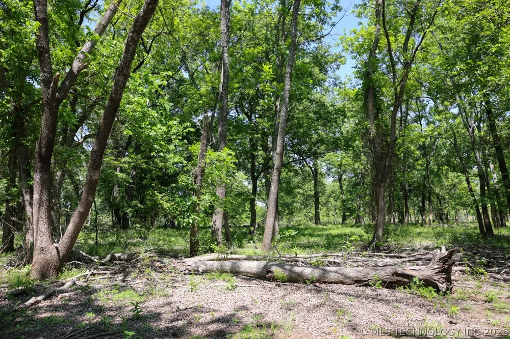 17 4390 Adair, OK 74330