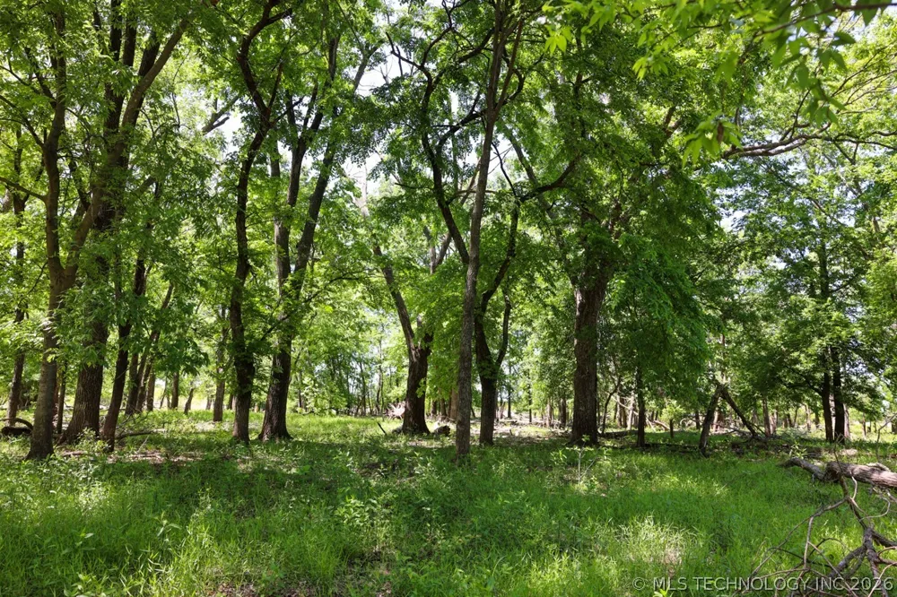 17 4390 Adair, OK 74330