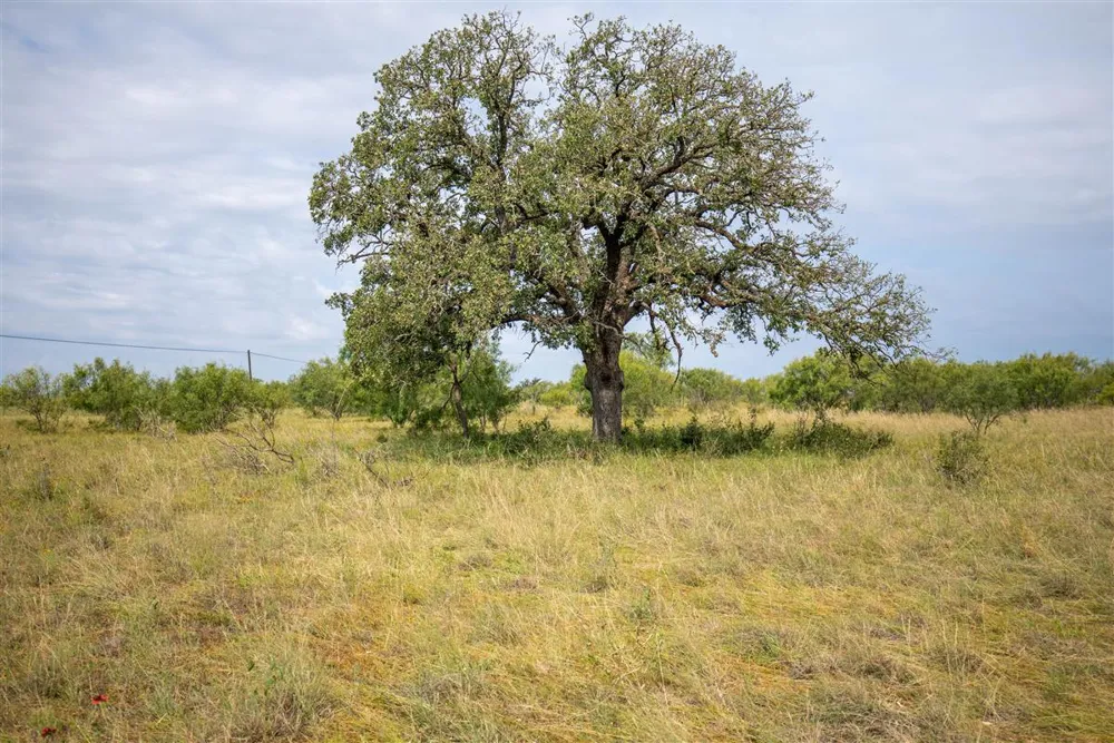 15811 W State Highway 29 Llano, TX 78643