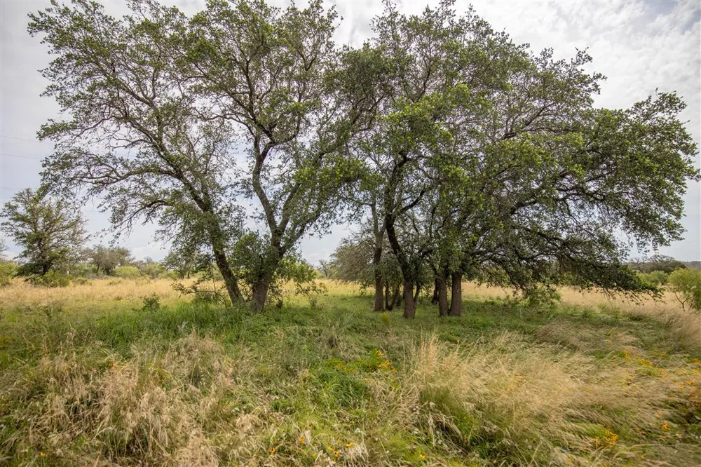 15811 W State Highway 29 Llano, TX 78643