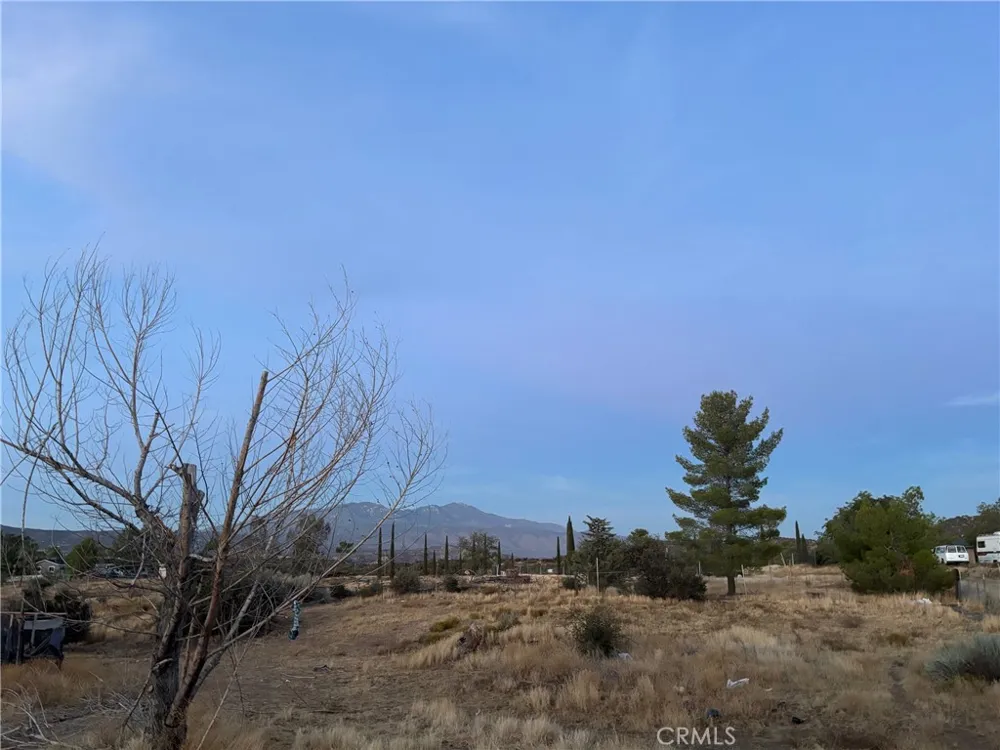 44300 Anderson Lane Anza, CA 92539