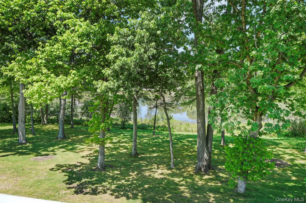 230 Lake Pointe Circle #230 Middle Island, NY 11953