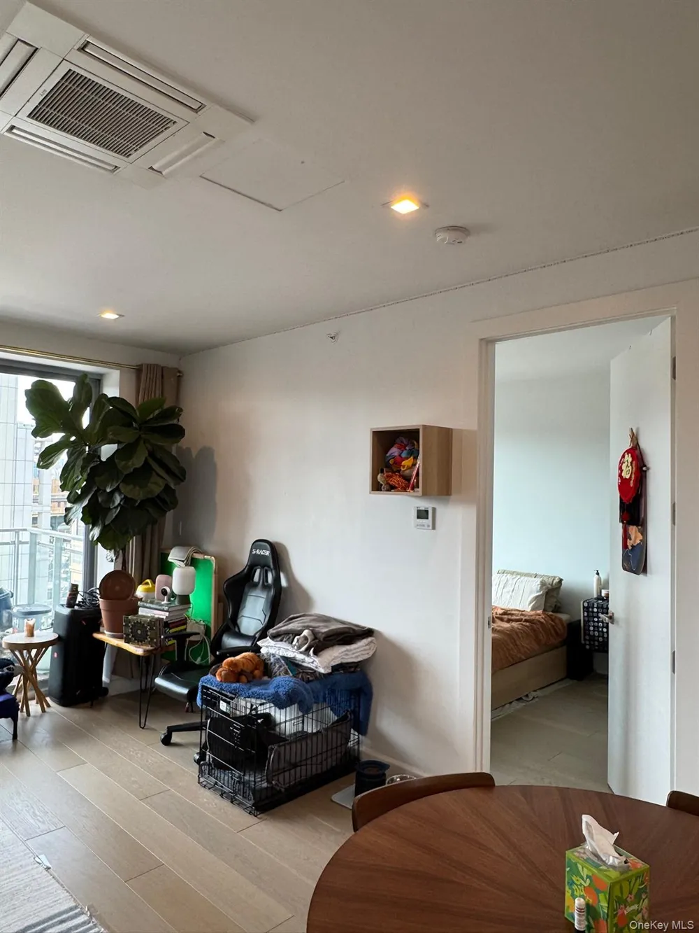 4244 Crescent Street #6B Long Island City, NY 11101