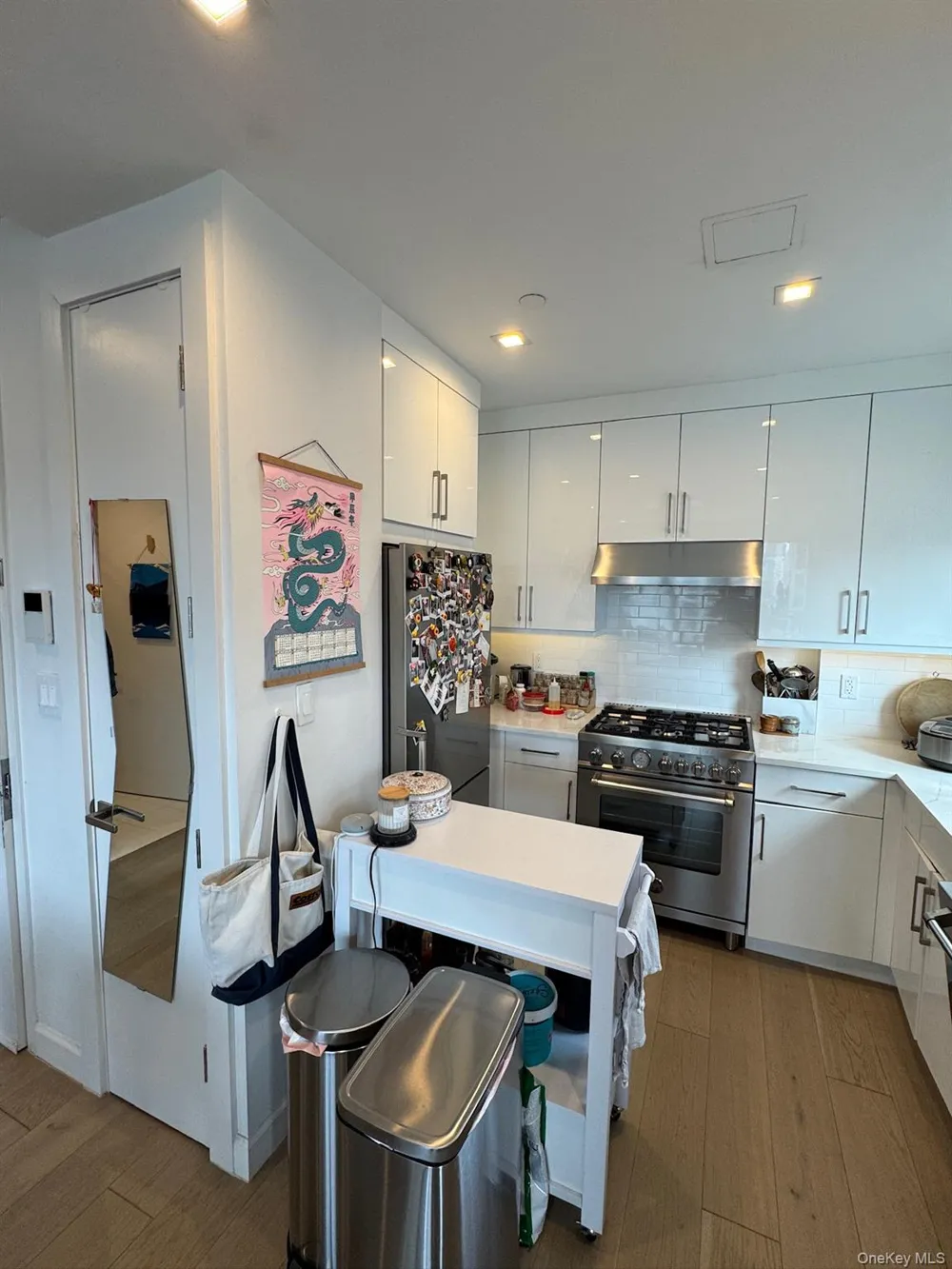 4244 Crescent Street #6B Long Island City, NY 11101