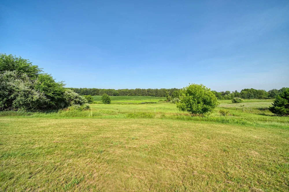 11329 Rosemary Lane Waterloo Township, MI 49259