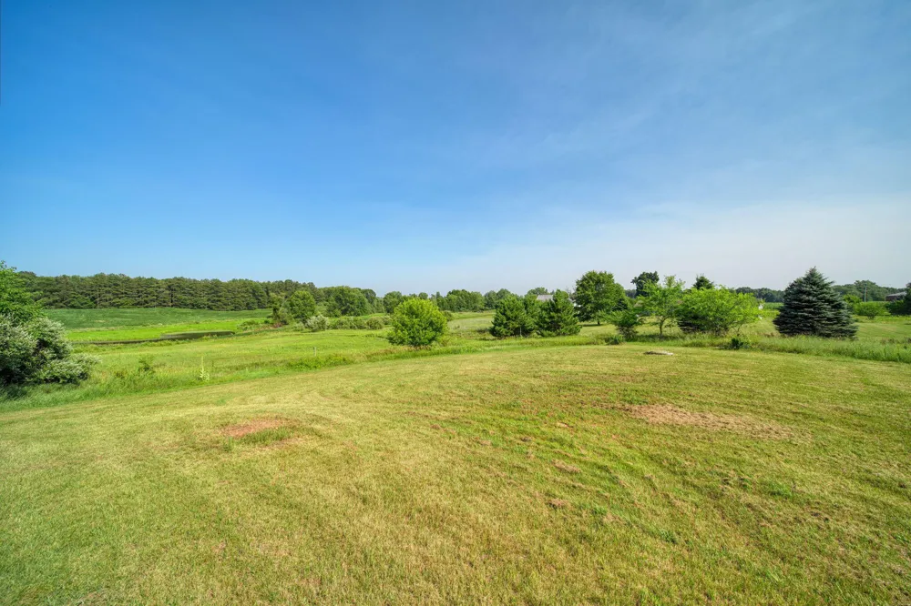 11329 Rosemary Lane Waterloo Township, MI 49259