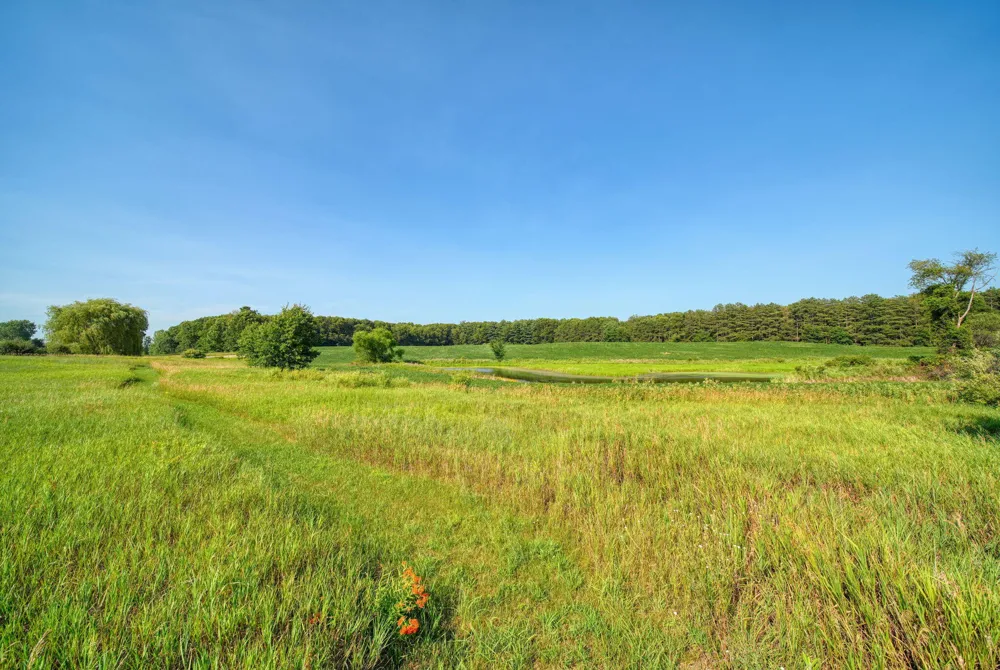11329 Rosemary Lane Waterloo Township, MI 49259