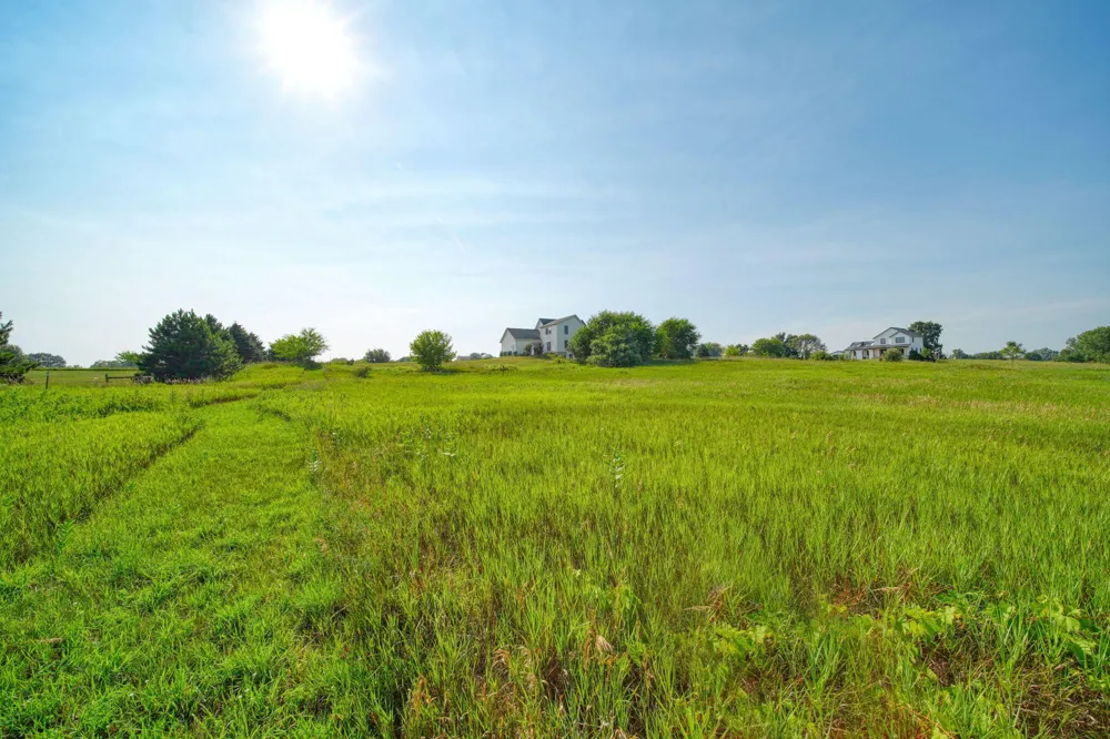 11329 Rosemary Lane Waterloo Township, MI 49259