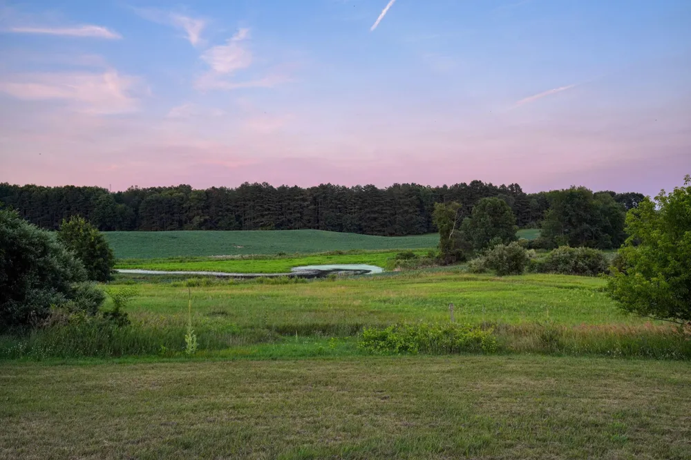 11329 Rosemary Lane Waterloo Township, MI 49259