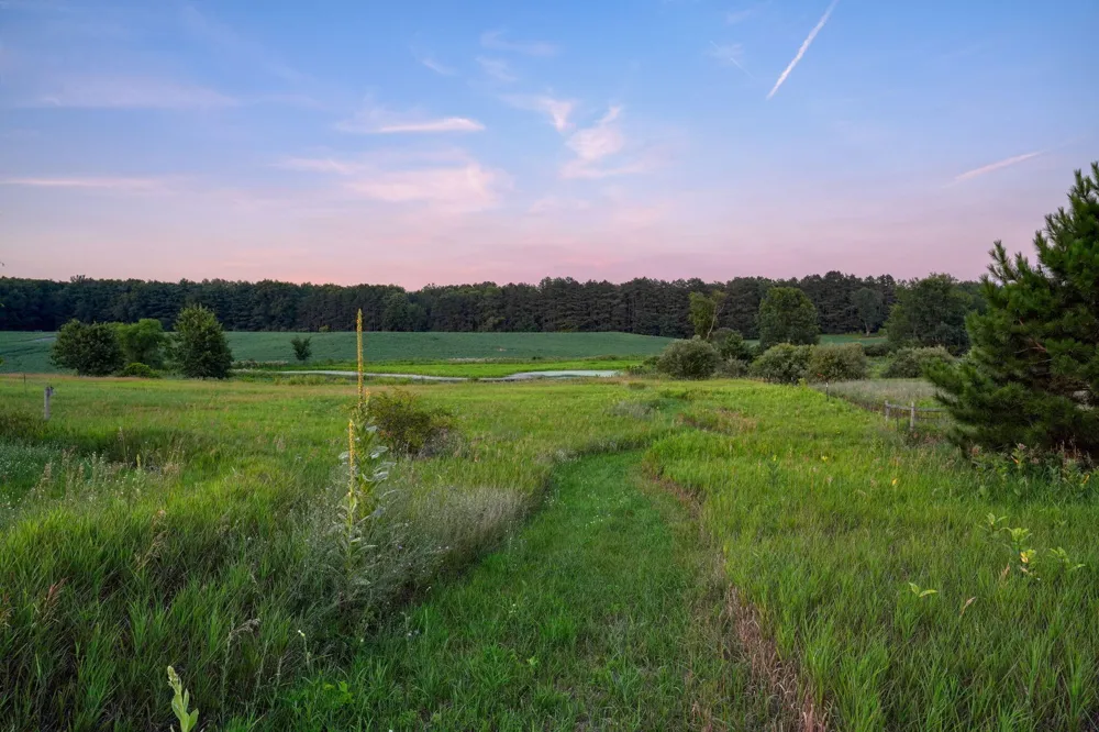 11329 Rosemary Lane Waterloo Township, MI 49259