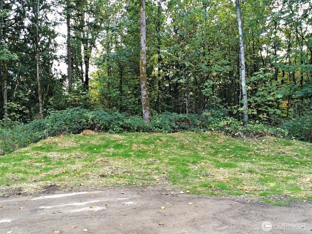 131 XX SE 312th Street Auburn, WA 98092