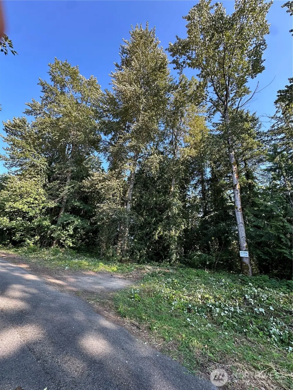 131 XX SE 312th Street Auburn, WA 98092