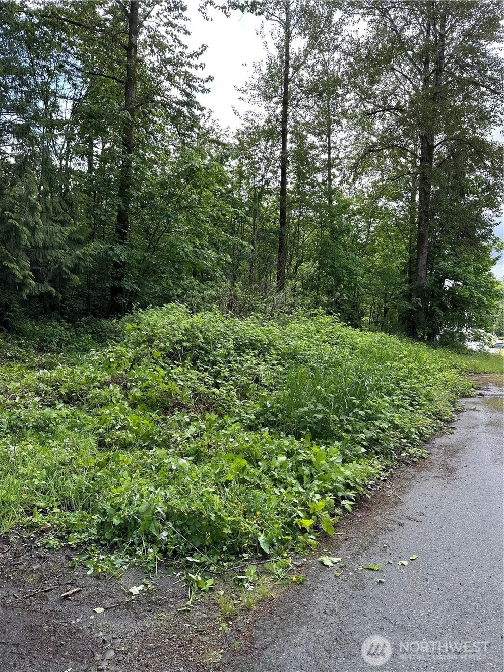 131 XX SE 312th Street Auburn, WA 98092